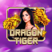 Dragon Tiger at 2010 JL88