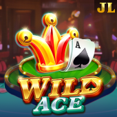 Wild Ace at 2010 JL88